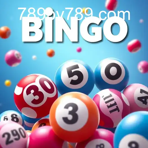 Exploring the Exciting World of Bingo Games with bv789